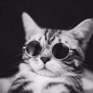 Meet your Posher, Ana